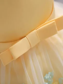 White Flower Girl Dresses Special Occasion Dresses Yellow Lace Sleeveless Jewel Neck Flower Girl Dresses