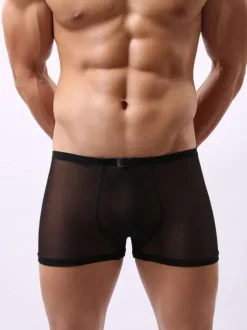 White Sexy Panties Tulle Semi Sheer Men Boxer Briefs