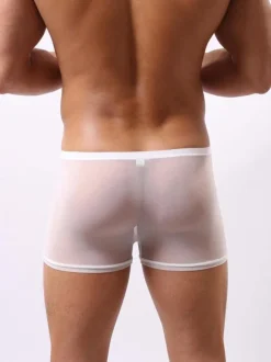White Sexy Panties Tulle Semi Sheer Men Boxer Briefs