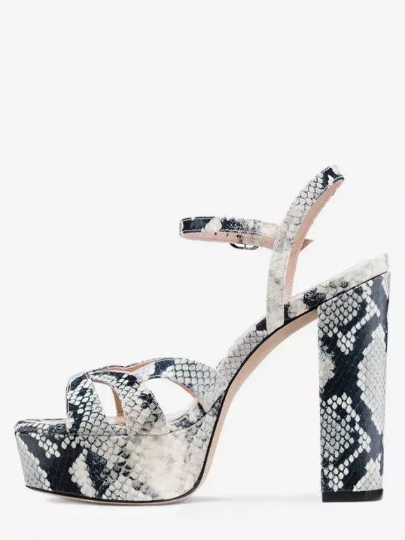 Women's High Heel Sandals Platform Chunky Heel Ankle Strap Sandals