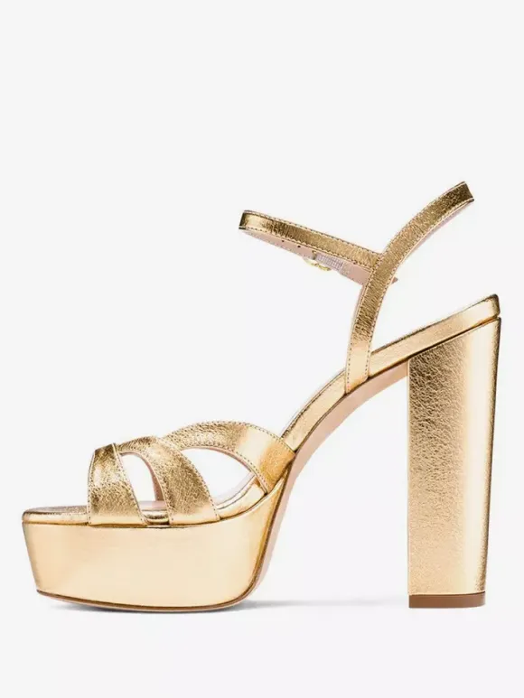 Women's High Heel Sandals Platform Chunky Heel Ankle Strap Sandals