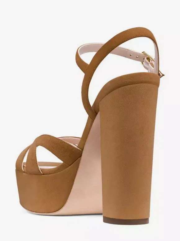 Women's High Heel Sandals Platform Chunky Heel Ankle Strap Sandals