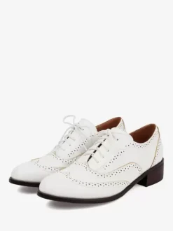 Women's Oxfords Patchwork Round Toe Puppy Heel Lace Up Vintage Shoes