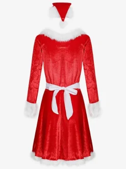 Women's Christmas Red Dress Christmas Holidays Costumes