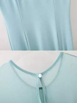 Womens Dance Dress Mesh Round Collar Short Sleeves Pleated Skirt Ballroom Dance Costumes