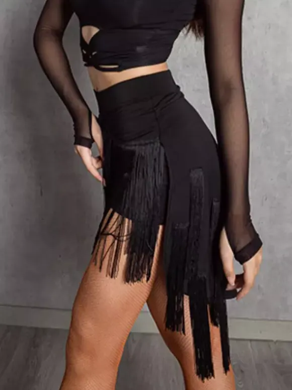 Womens Latin Dance 2-piece Transparent Long Sleeves Tops And Tassels Skirt Ballroom Salsa Tango Skirt